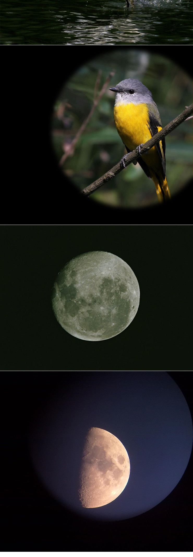 Celestron SkyMaster 25mm 70mm HD Pro