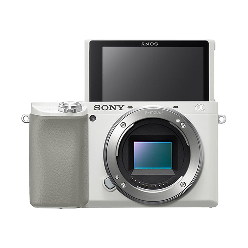 Sony A6100 Camera and Sony FE 50mm F1.2 GM Lens