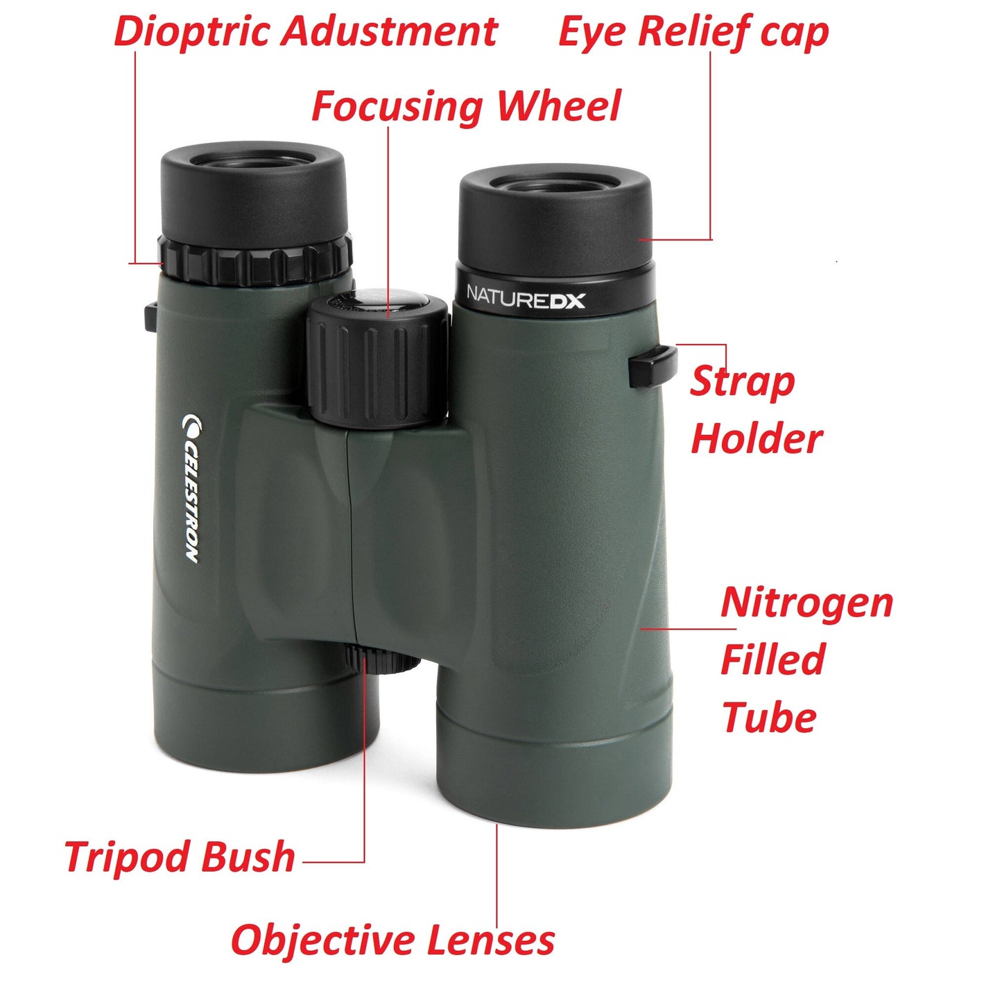 Celestron Nature 8x42