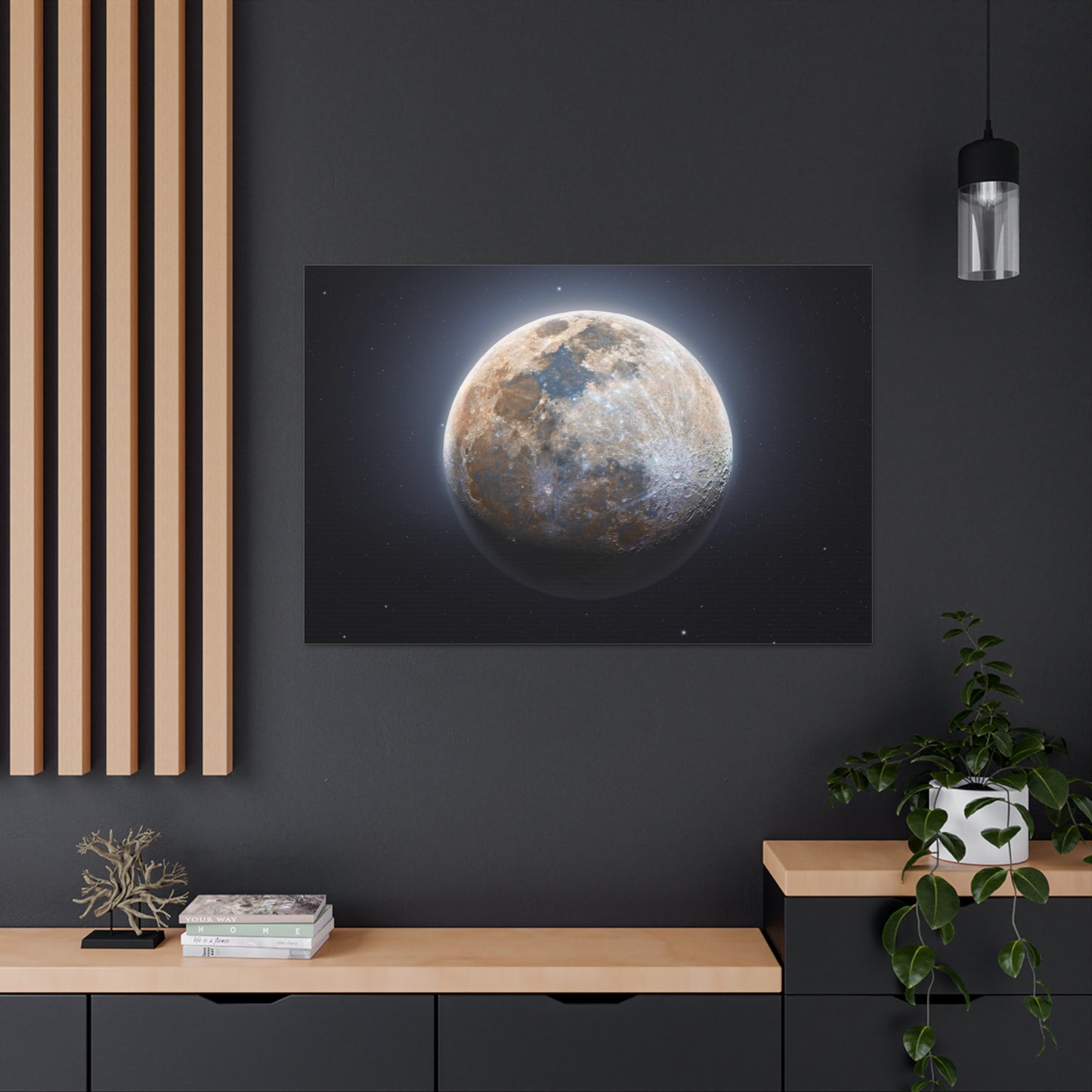 Moon Canvas
