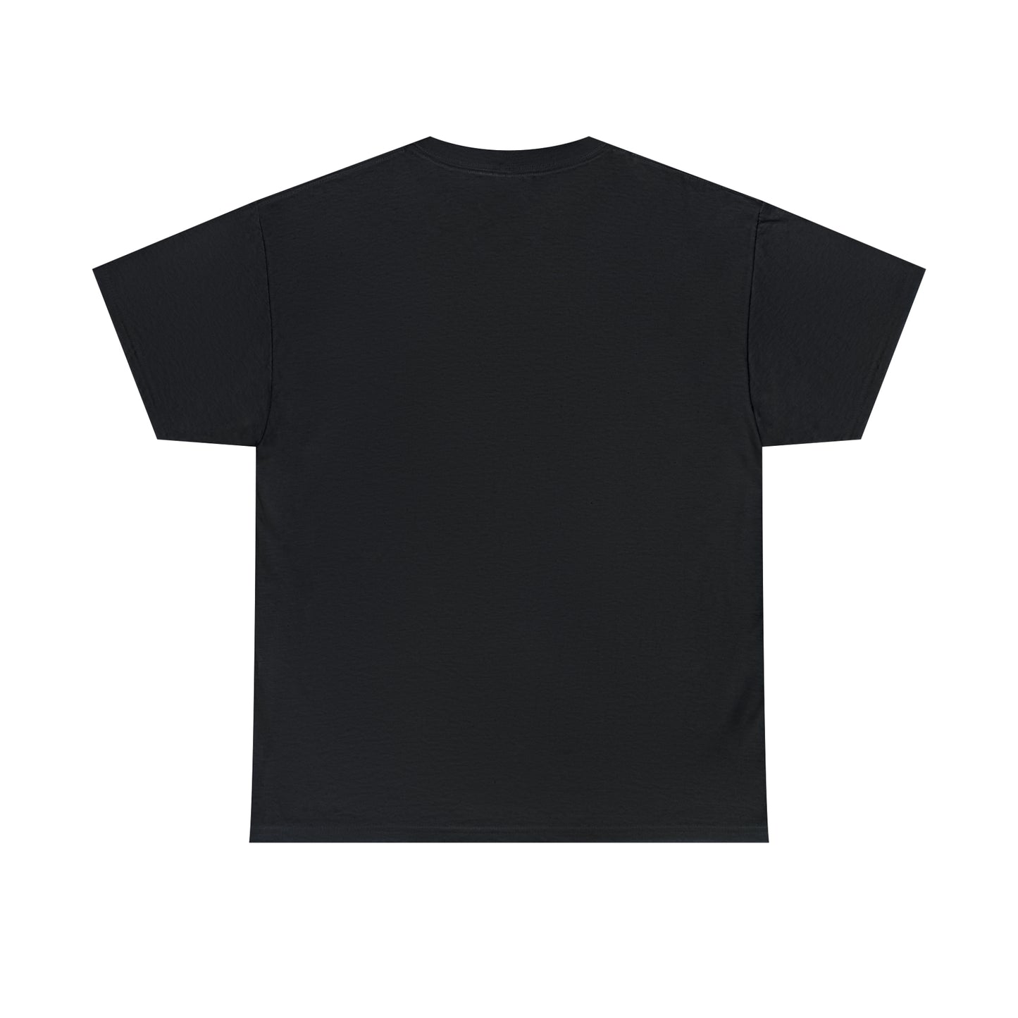 Astronomy Shirt - Houston Many Problems