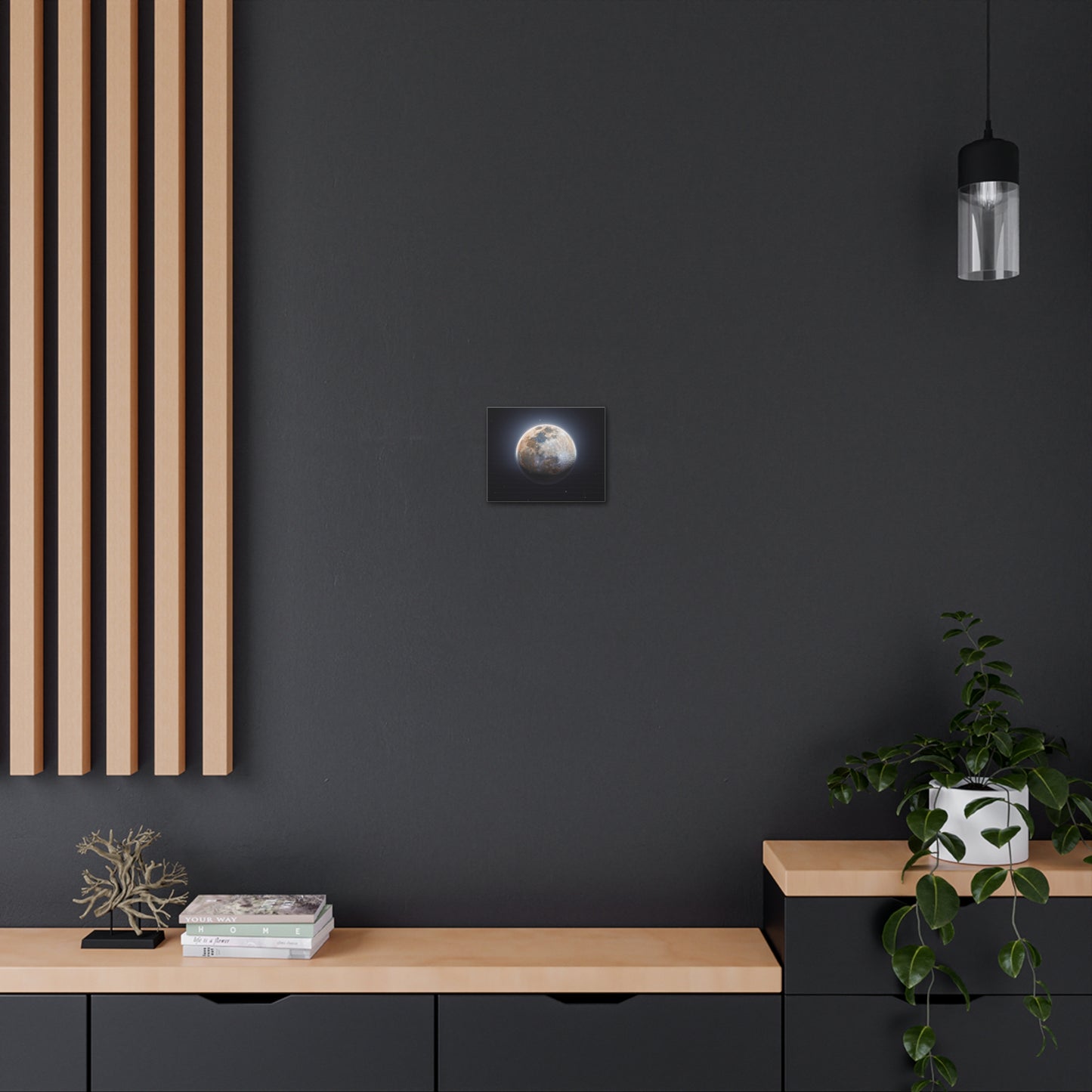 Moon Canvas