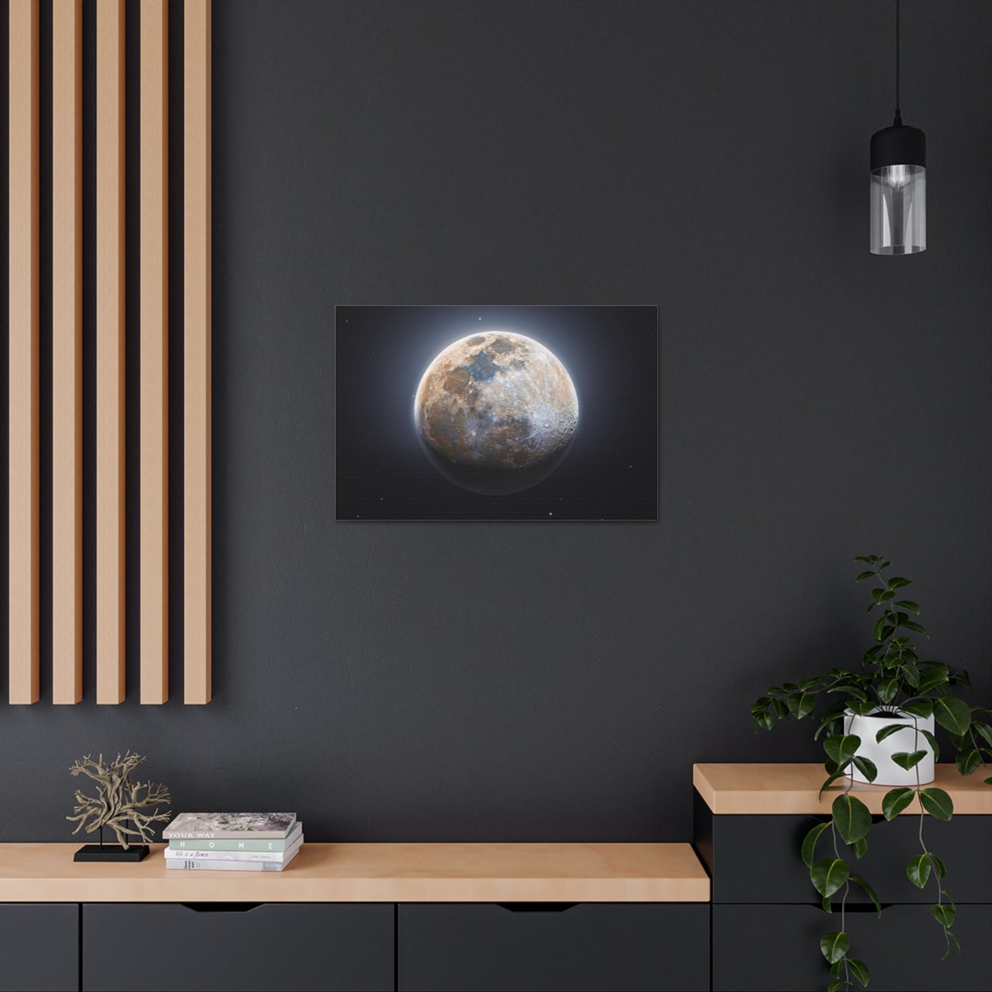 Moon Canvas