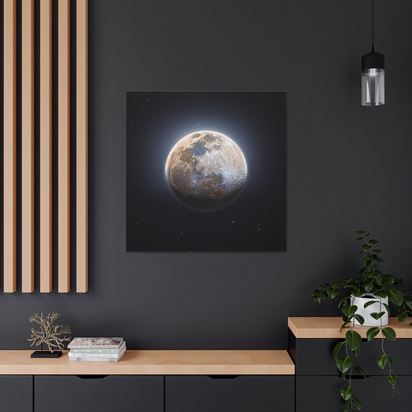 Moon Canvas