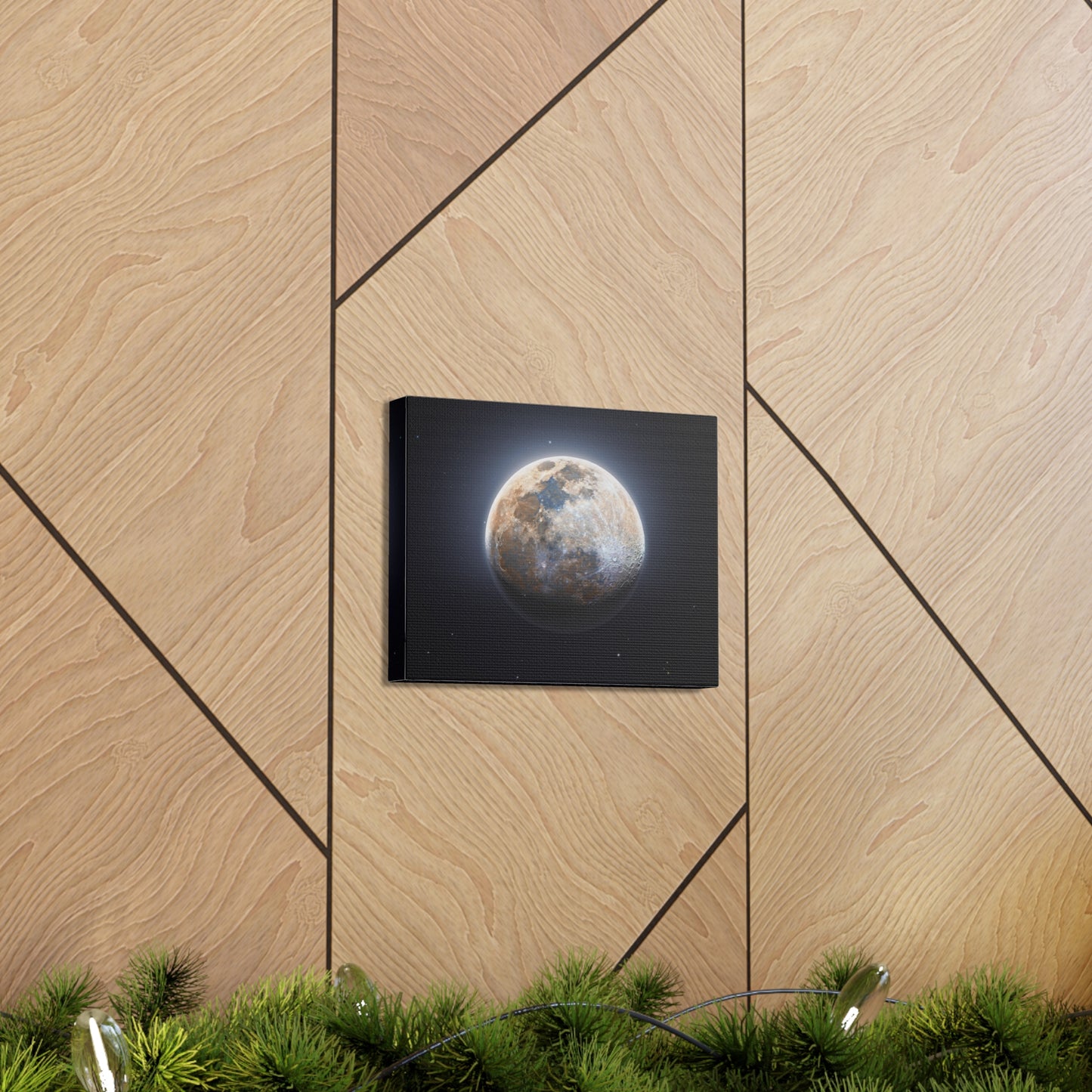 Moon Canvas