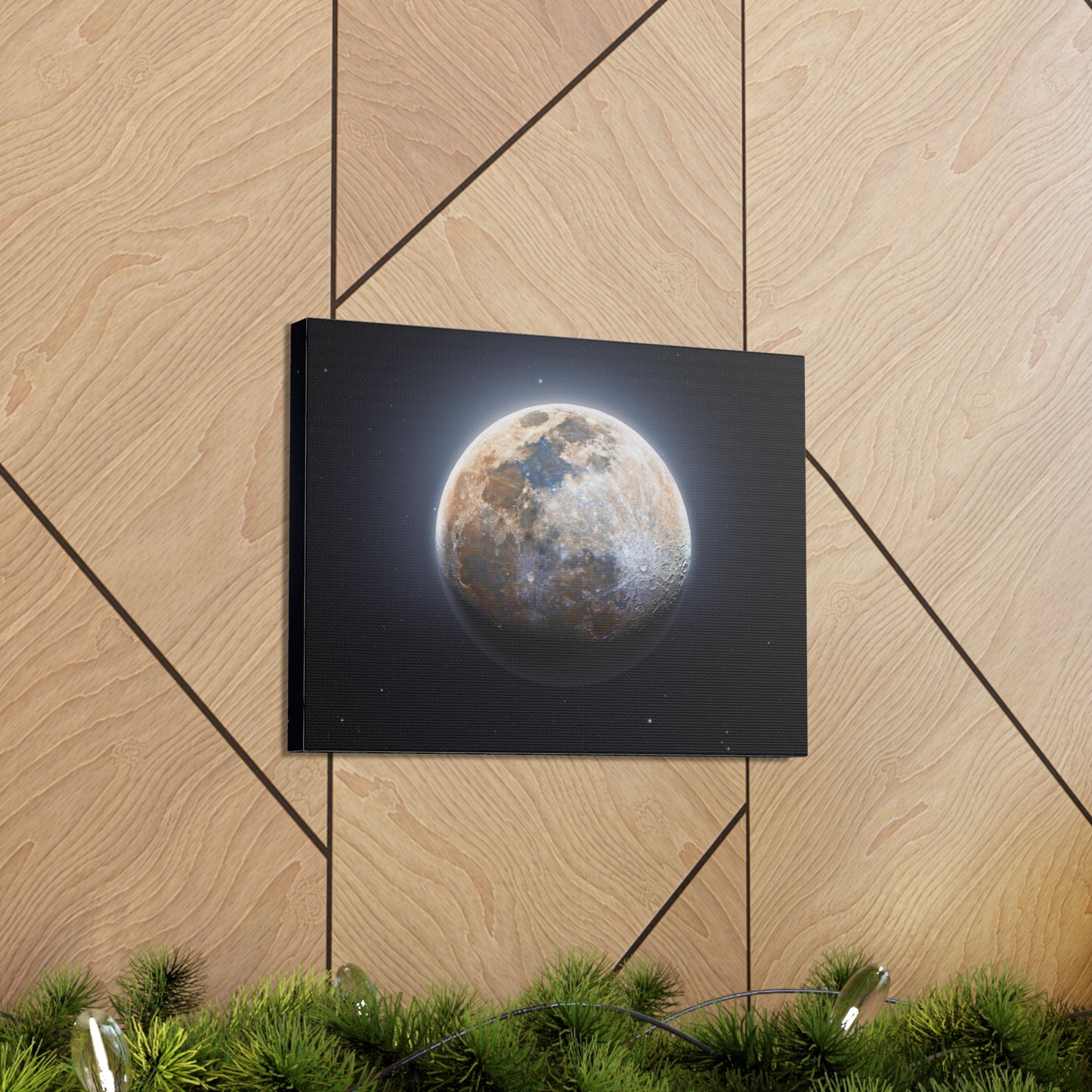 Moon Canvas