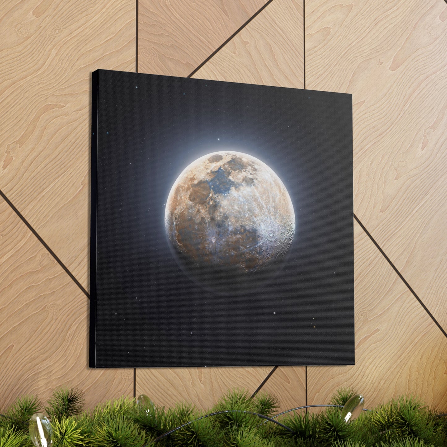 Moon Canvas