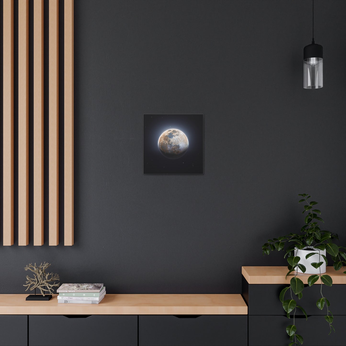 Moon Canvas