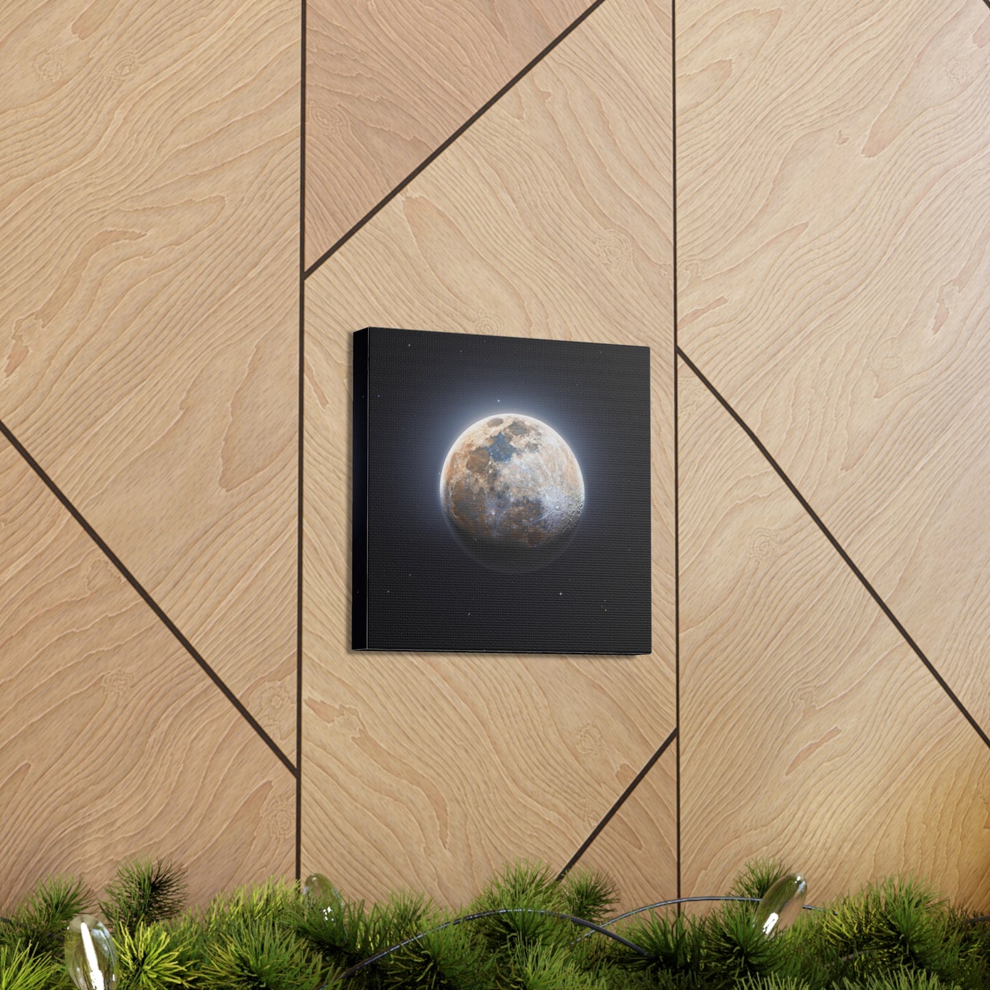 Moon Canvas
