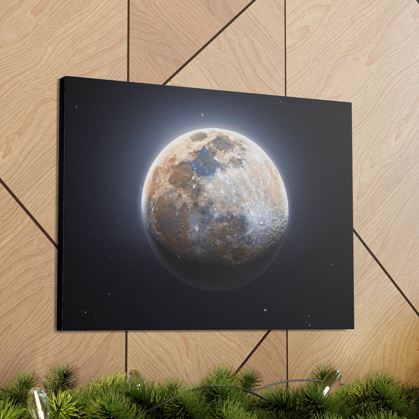 Moon Canvas