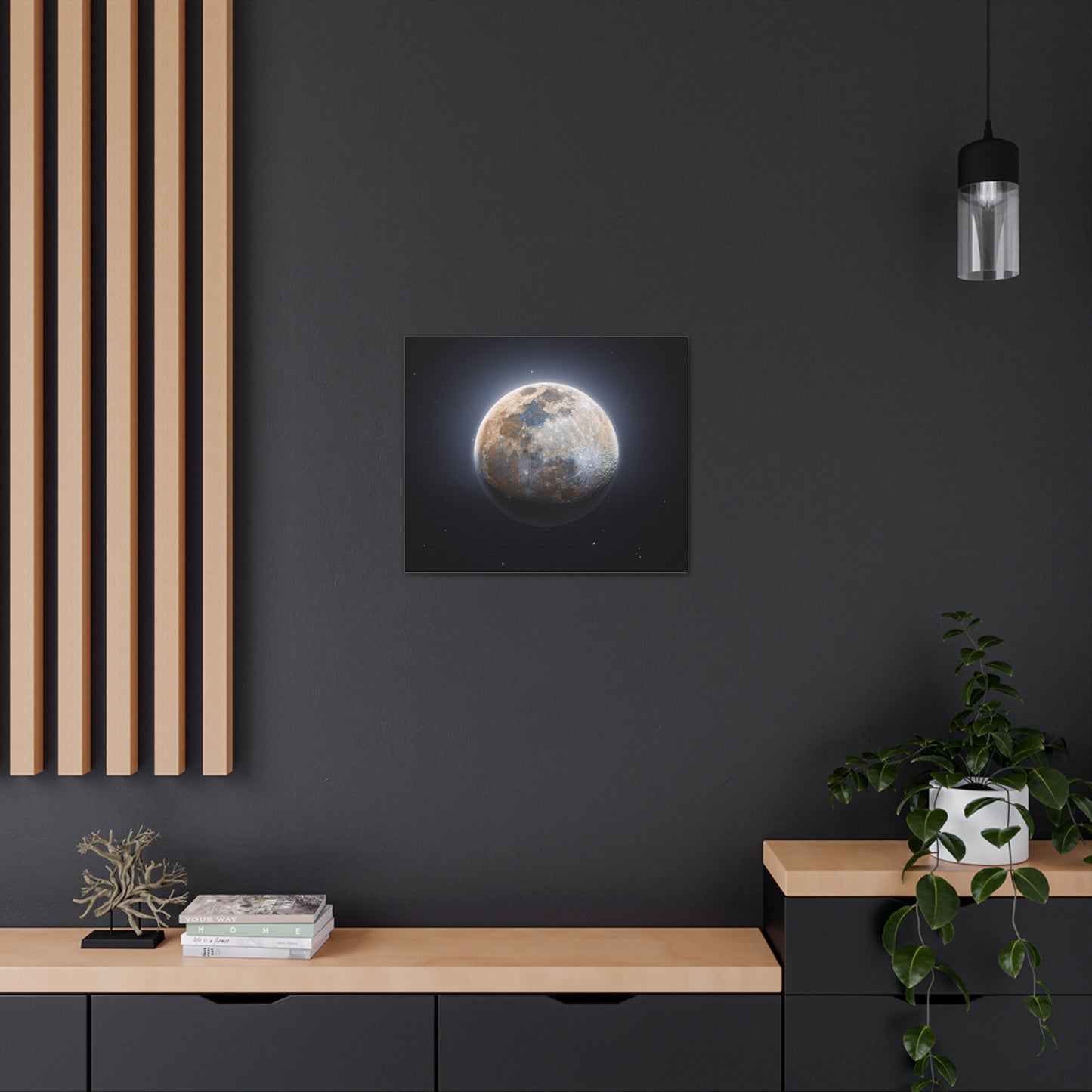Moon Canvas