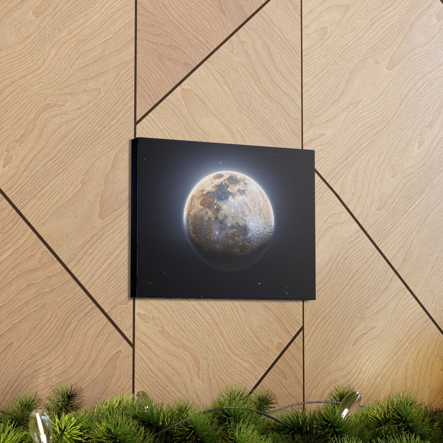 Moon Canvas