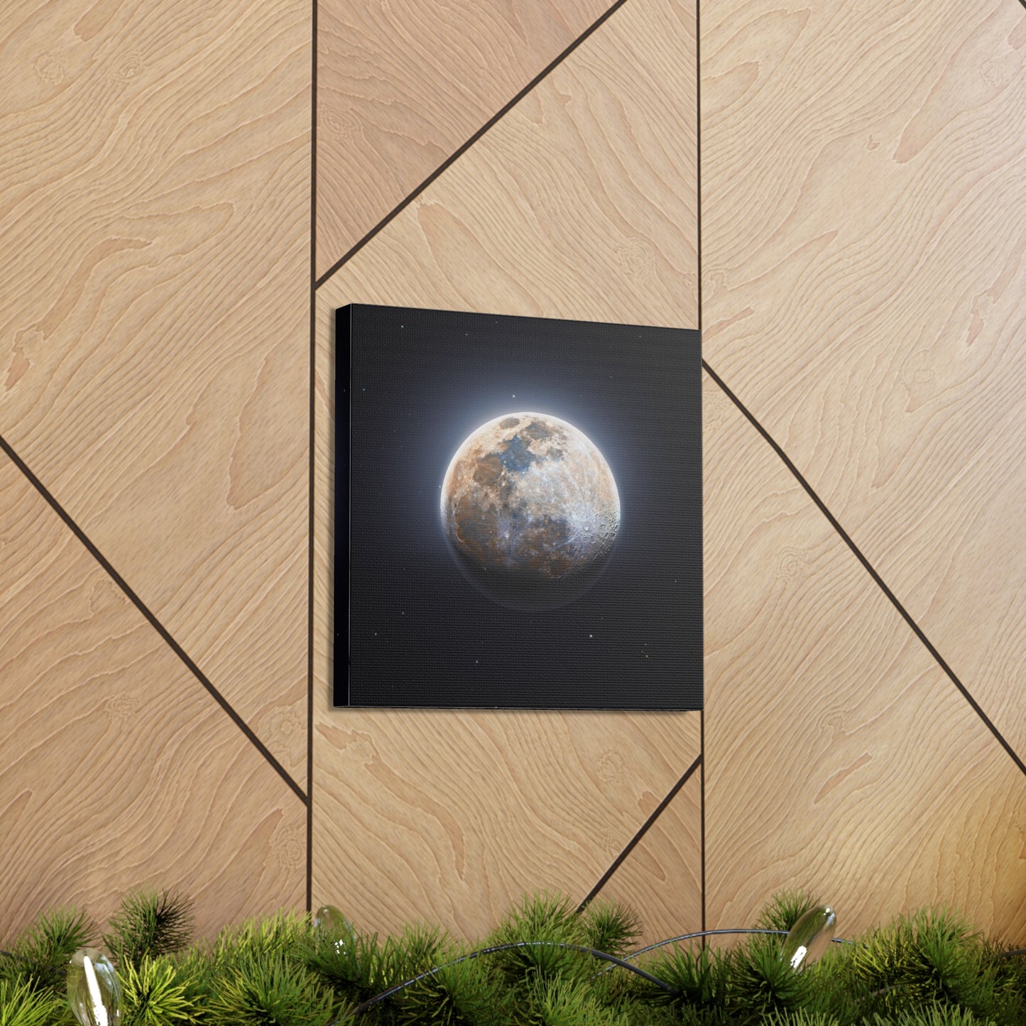 Moon Canvas
