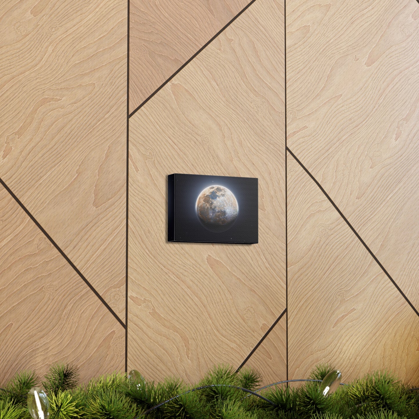 Moon Canvas