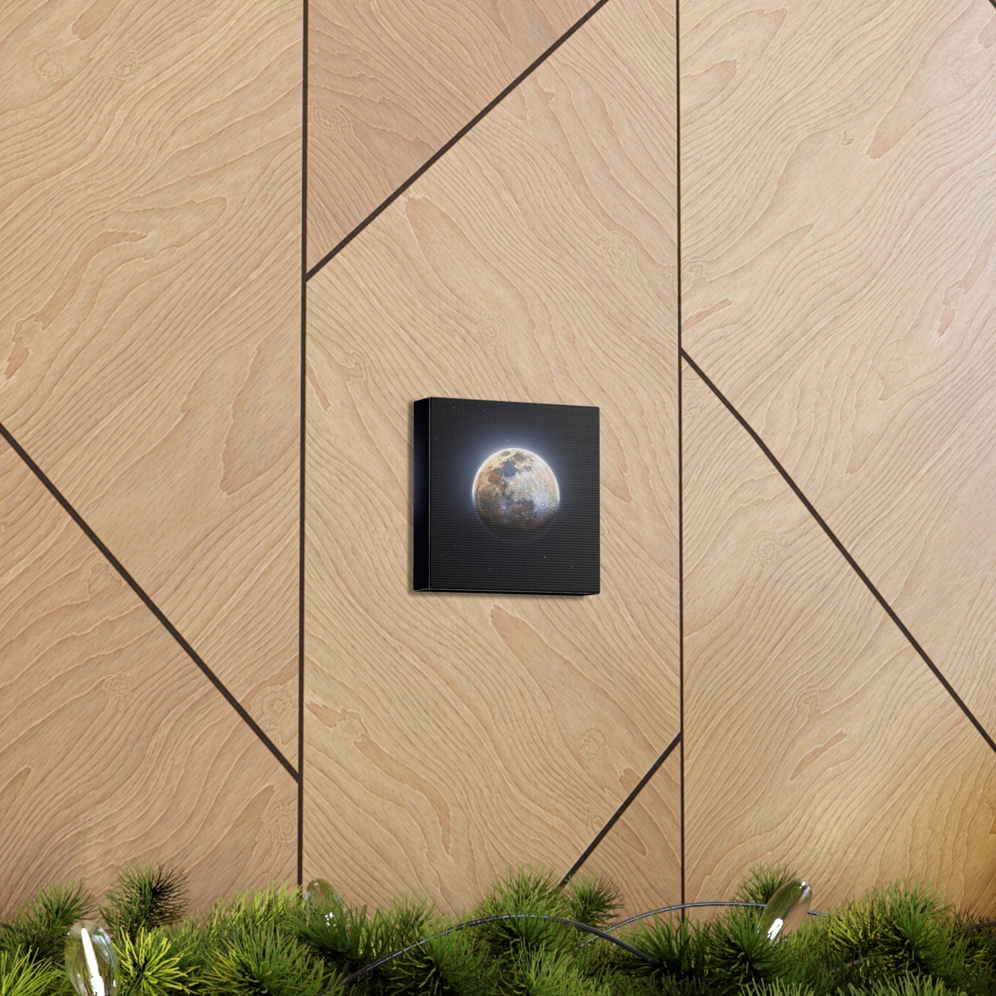 Moon Canvas