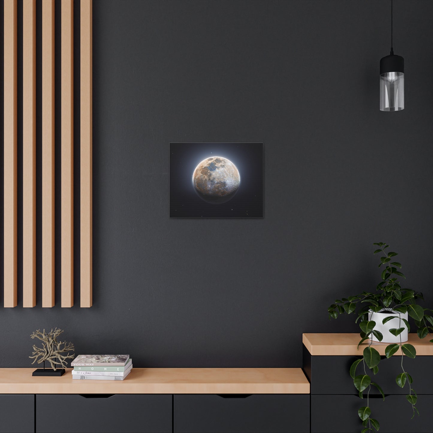 Moon Canvas
