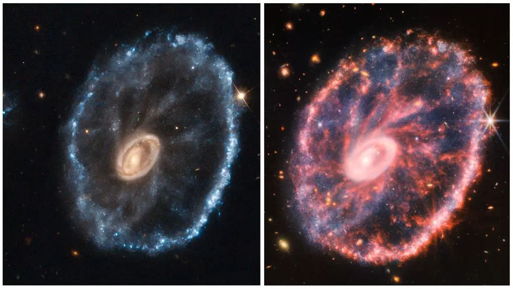 Cartwheel Galaxy