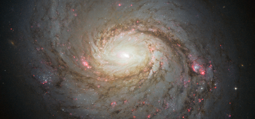 M77 The Squid Galaxy (NGC 1068)