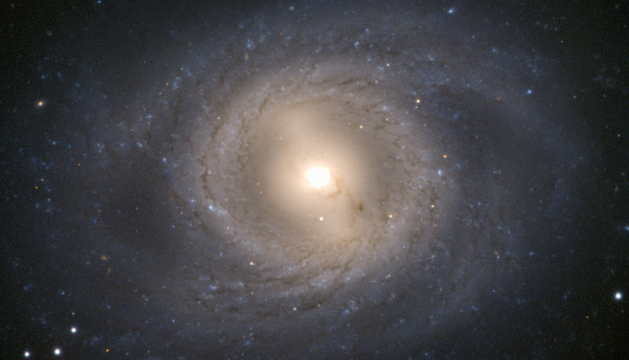 M95 Galaxy - NGC 3351: Type, Age, Size, Diameter, Mass, Location, Fact