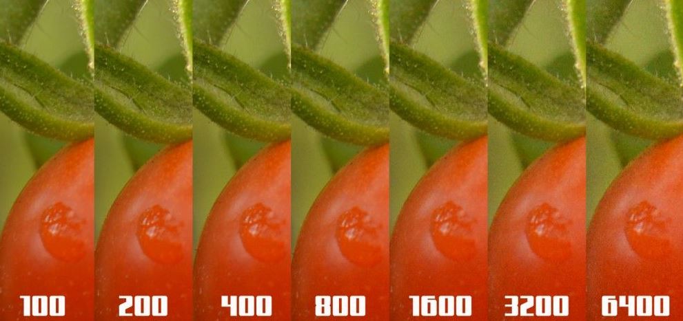 What is ISO in Photography Simple Definition