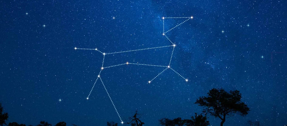 Canis Major Constellation Stars