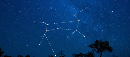 Canis Major Constellation Stars