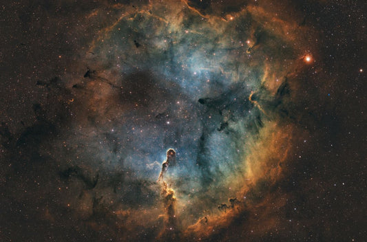 Elephant Trunk Nebula