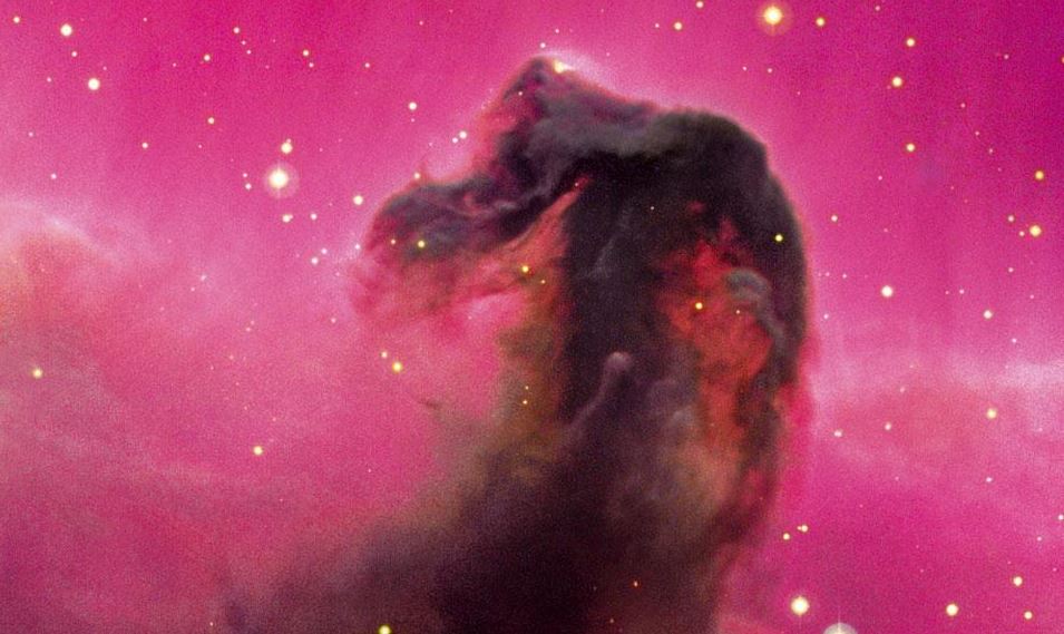 The Horsehead Nebula: Location, Facts, Hubble Images, Size