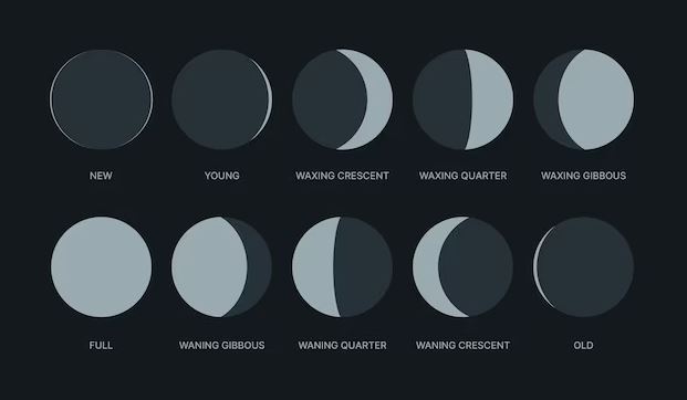 Moon Phases In Order The Moon, Moon Phases On A Black Background. The