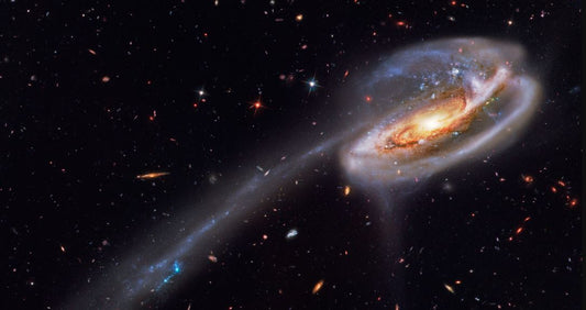 Tadpole Galaxy