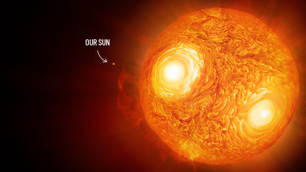 UY Scuti vs Sun vs Phoenix A