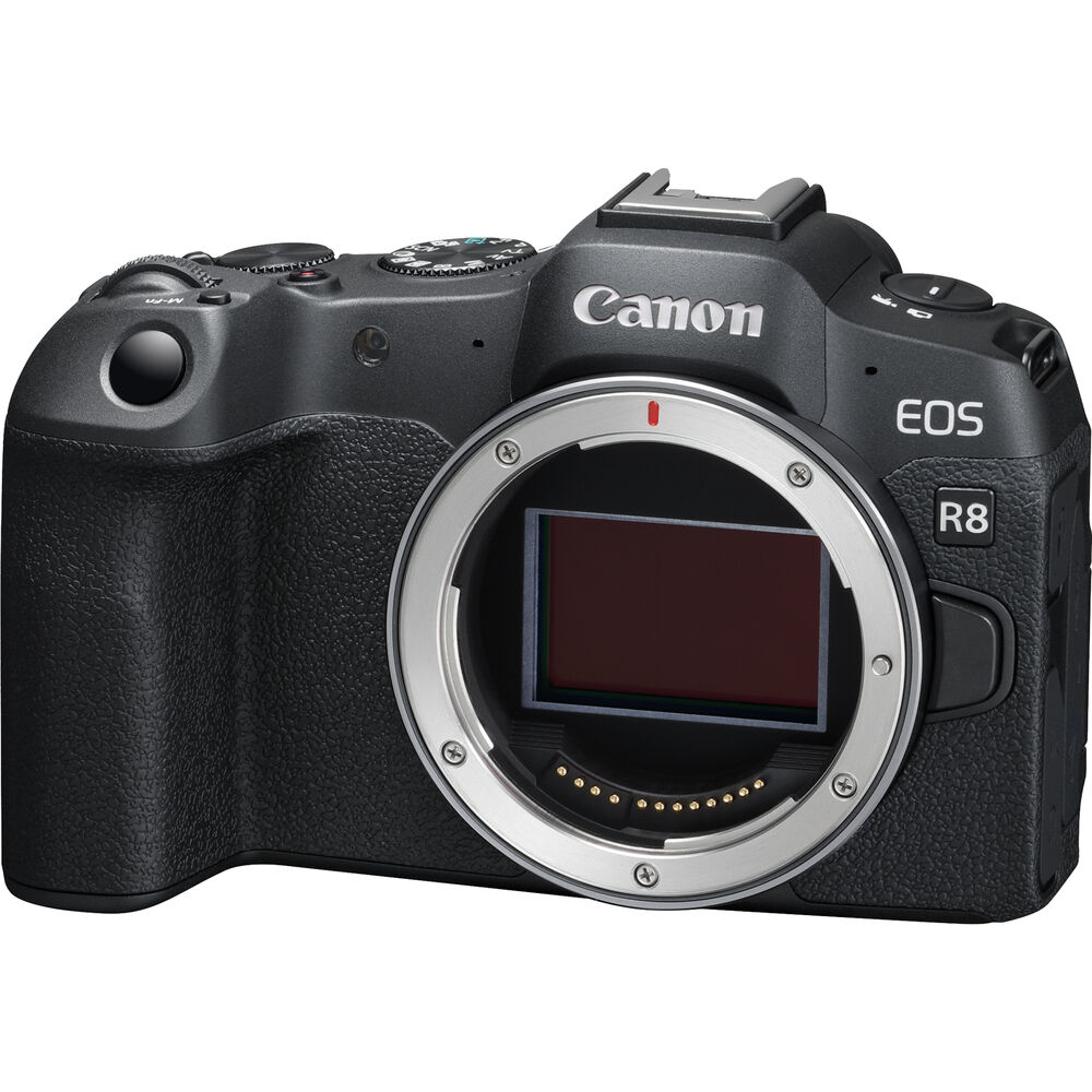 Canon EOS R8  Camera 